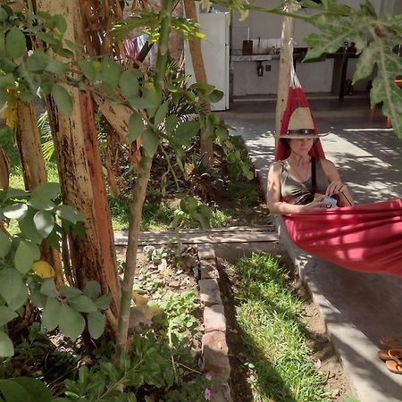 Flying Monkey Hostel Nazca Zewnętrze zdjęcie
