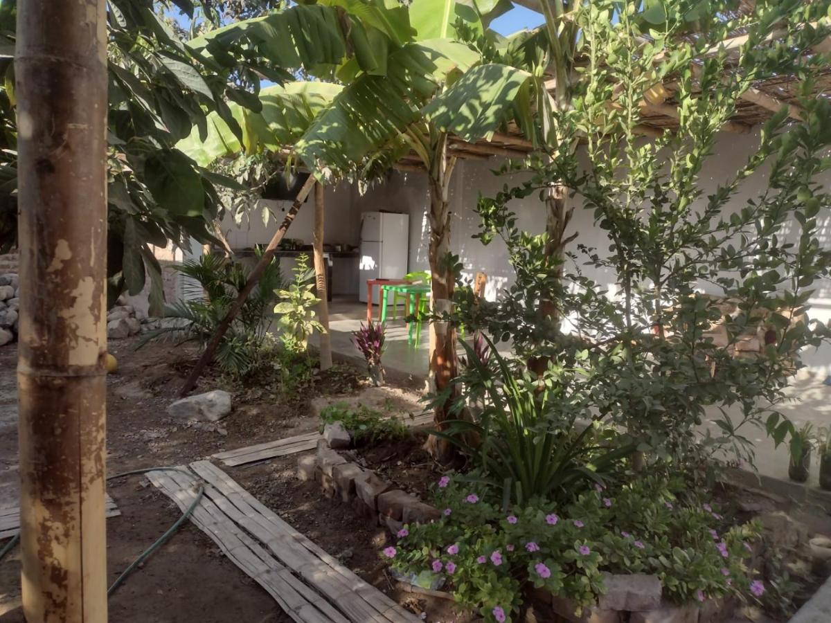 Flying Monkey Hostel Nazca Zewnętrze zdjęcie