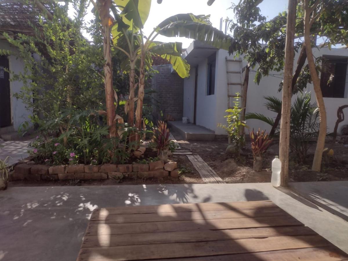 Flying Monkey Hostel Nazca Zewnętrze zdjęcie